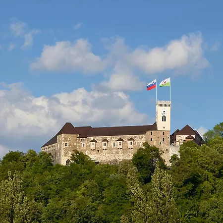 Gorup Palace Апартаменты